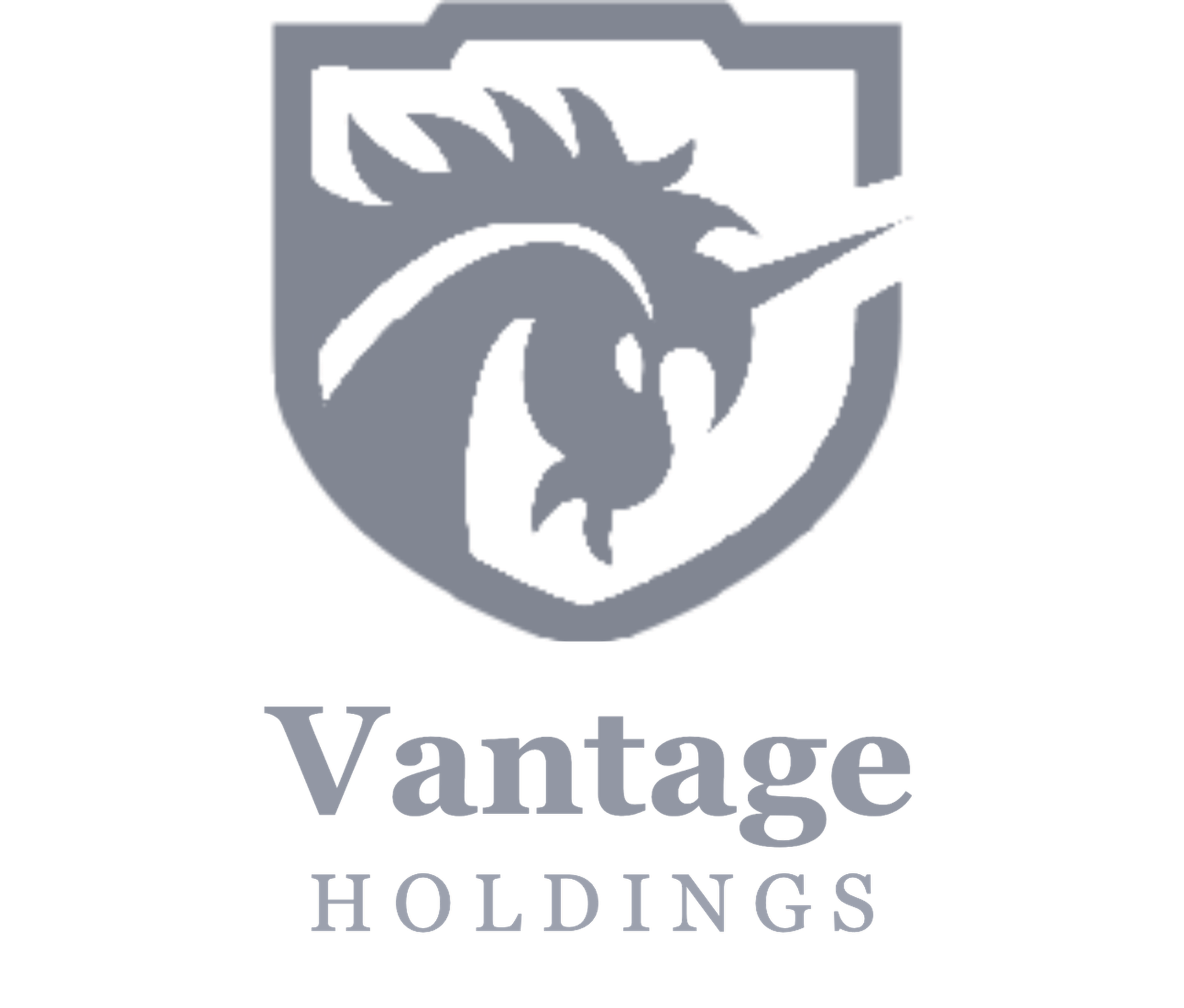 Vantage Holdings